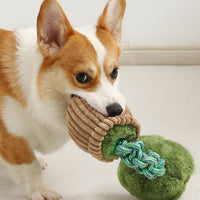 HKM-4387005 Durable Dog Teether Knot Toy - Bite-resistant Polyester in Mushroom and Broccoli Colors