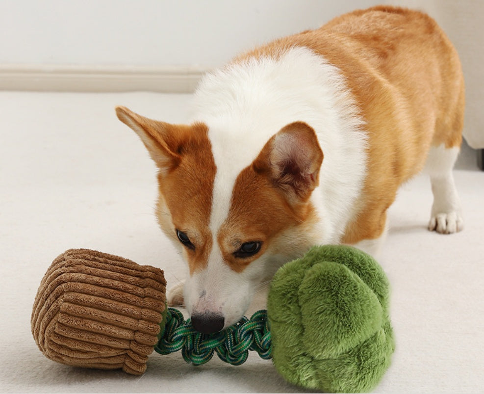 HKM-4387005 Durable Dog Teether Knot Toy - Bite-resistant Polyester in Mushroom and Broccoli Colors