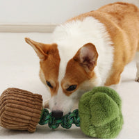 HKM-4387005 Durable Dog Teether Knot Toy - Bite-resistant Polyester in Mushroom and Broccoli Colors