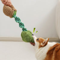 HKM-4387005 Durable Dog Teether Knot Toy - Bite-resistant Polyester in Mushroom and Broccoli Colors