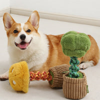 HKM-4387005 Durable Dog Teether Knot Toy - Bite-resistant Polyester in Mushroom and Broccoli Colors