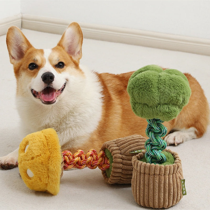 HKM-4387005 Durable Dog Teether Knot Toy - Bite-resistant Polyester in Mushroom and Broccoli Colors