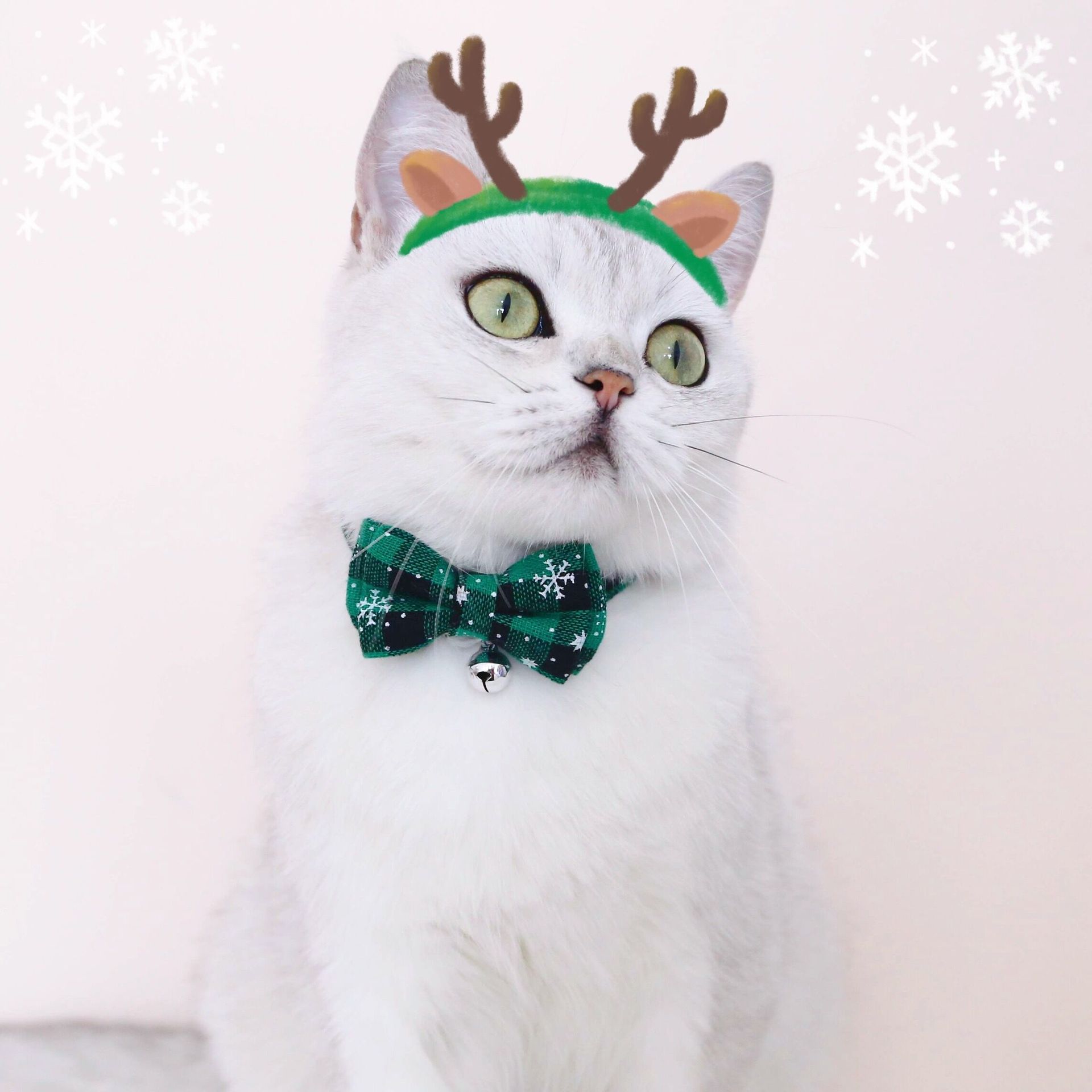 HKM-4388157 Adjustable Double-Layer Bow Snowflake Plaid Collar for Dogs and Cats with Bell, Holiday Accessory