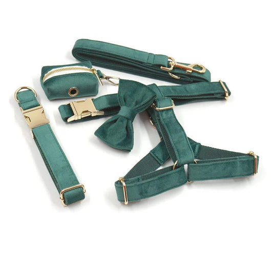 HKM-439315 Christmas Green Velvet Dog Collar with Gold Buckle and Leash Set