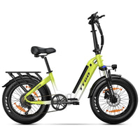 HKM-439763 Electric Fat Tire City Bike, 20 Inch, 250W Rear Hub Motor, 7-Speed, 48V Lithium Battery, Hydraulic Disc Brake, Eco-Friendly