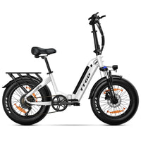 HKM-439763 Electric Fat Tire City Bike, 20 Inch, 250W Rear Hub Motor, 7-Speed, 48V Lithium Battery, Hydraulic Disc Brake, Eco-Friendly