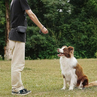 HKM-4398141 Portable Silicone Dog Training Waist Bag with Belt - Multiple Colors Available