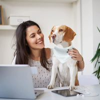HKM-4399165 Personalized Adjustable Thermal Transfer Dog Scarf - Casual Style, Multiple Sizes Available
