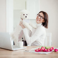 HKM-4399165 Personalized Adjustable Thermal Transfer Dog Scarf - Casual Style, Multiple Sizes Available