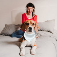 HKM-4399165 Personalized Adjustable Thermal Transfer Dog Scarf - Casual Style, Multiple Sizes Available