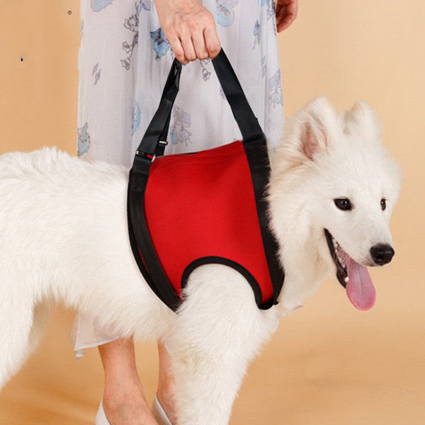 HKM-4404925 Assistance Strap for Aging Golden Retriever - Neoprene Pet Support Belt in Multiple Colors