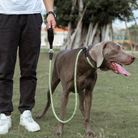 HKM-4407229 Fashionable Nylon Pet Dog Leash in Various Colors - Explosion-Proof Design