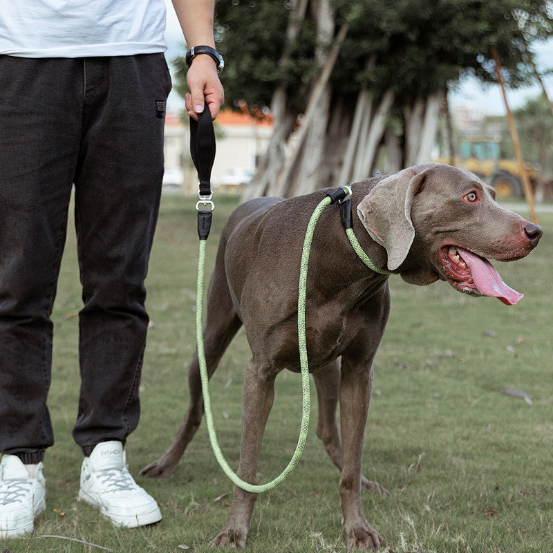 HKM-4407229 Fashionable Nylon Pet Dog Leash in Various Colors - Explosion-Proof Design