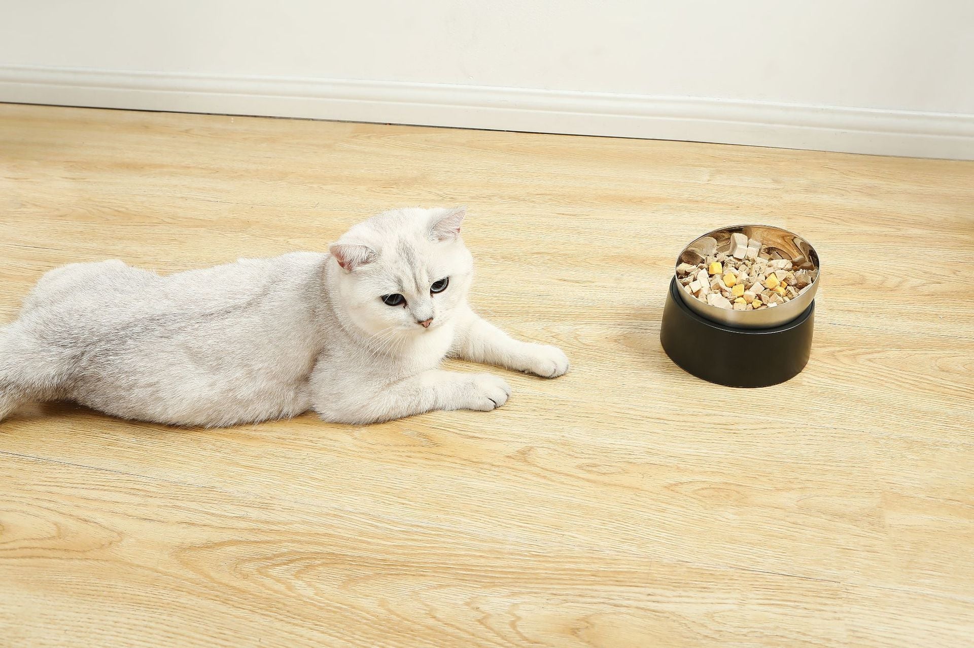HKM-4407613 Pet Neck Protection Anti-Tumble Bowl for Cats and Dogs - ABS Stainless Steel Design, Single or Double Bowl