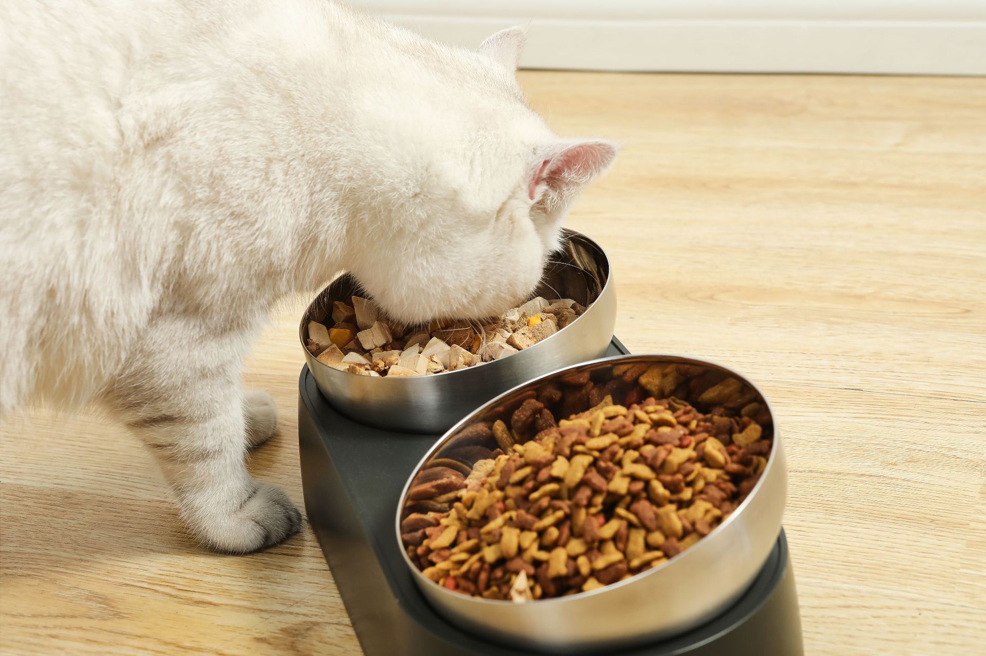 HKM-4407613 Pet Neck Protection Anti-Tumble Bowl for Cats and Dogs - ABS Stainless Steel Design, Single or Double Bowl
