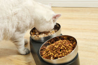 HKM-4407613 Pet Neck Protection Anti-Tumble Bowl for Cats and Dogs - ABS Stainless Steel Design, Single or Double Bowl
