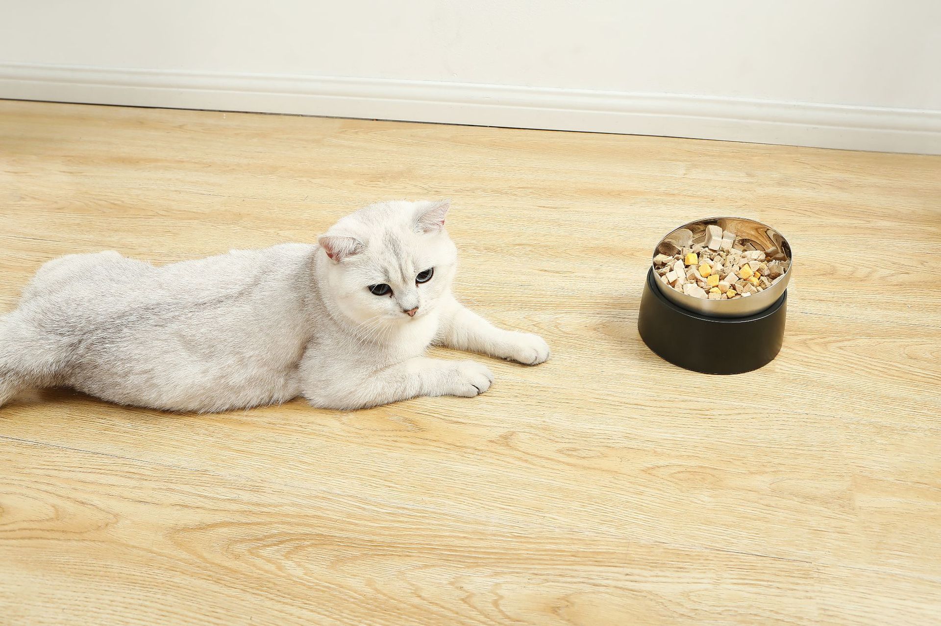 HKM-4407613 Pet Neck Protection Anti-Tumble Bowl for Cats and Dogs - ABS Stainless Steel Design, Single or Double Bowl