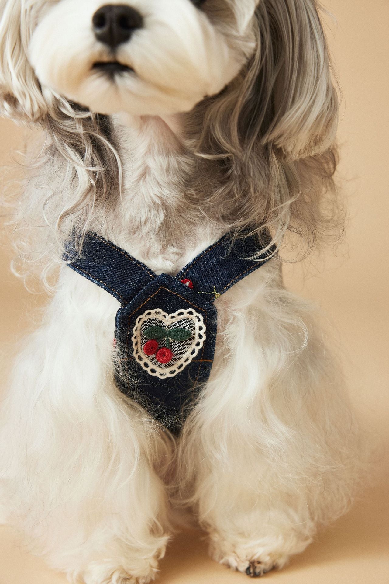HKM-4411965 Cherry Denim Dress for Dogs - Casual Navy Blue Pet Clothing in Multiple Sizes (XS-XXL)
