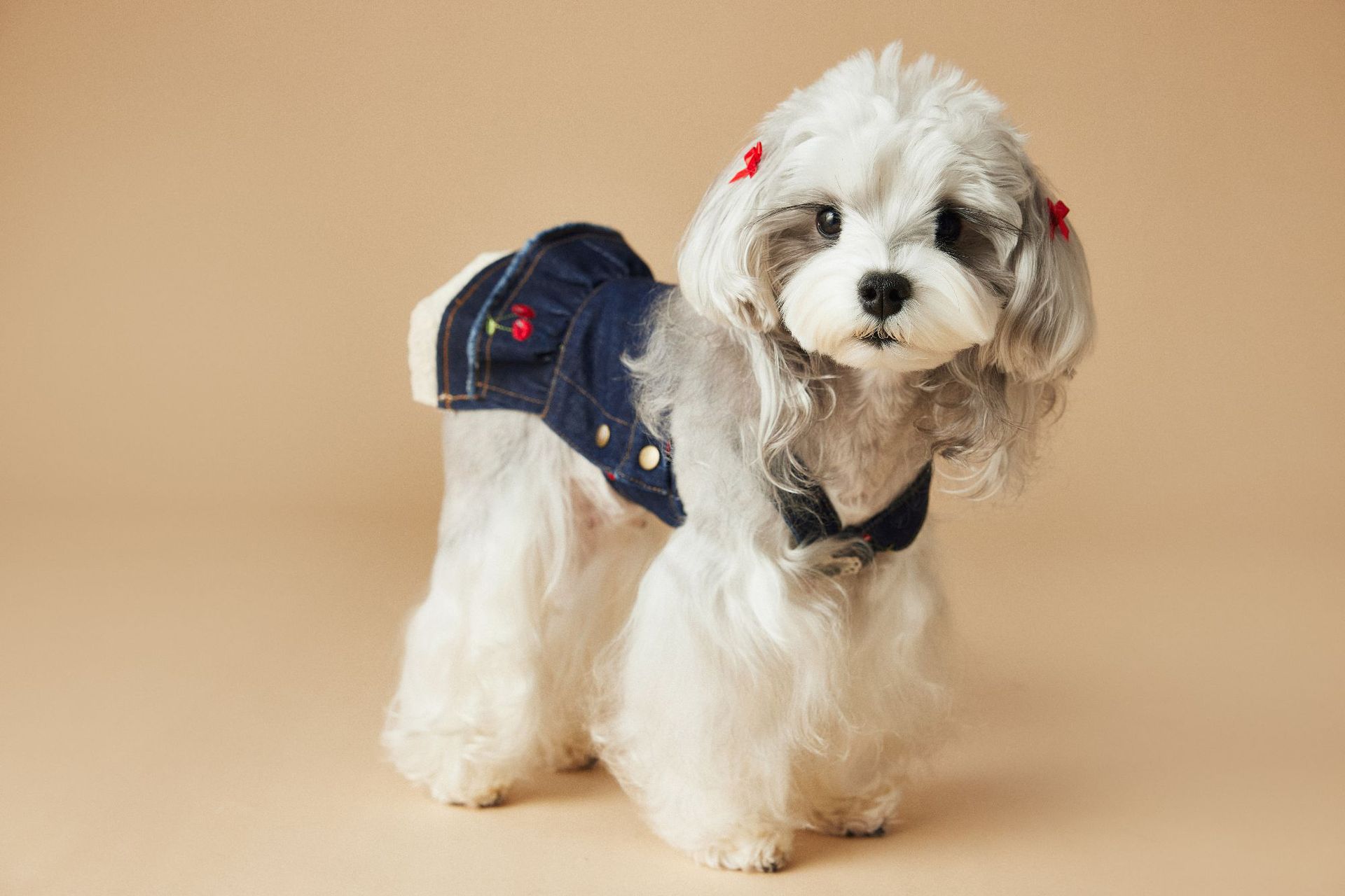 HKM-4411965 Cherry Denim Dress for Dogs - Casual Navy Blue Pet Clothing in Multiple Sizes (XS-XXL)