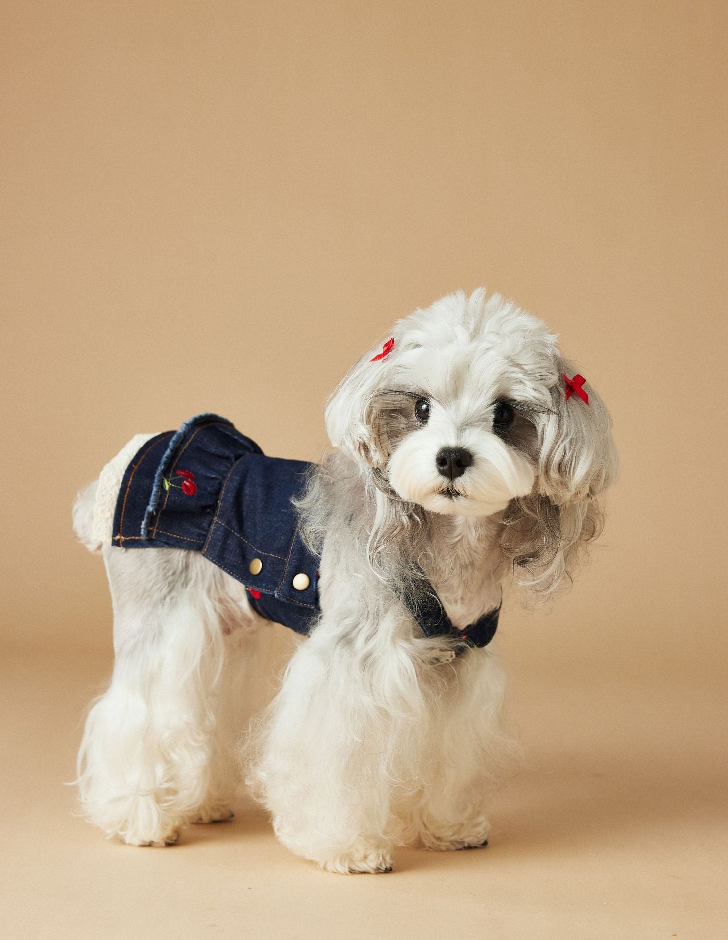 HKM-4411965 Cherry Denim Dress for Dogs - Casual Navy Blue Pet Clothing in Multiple Sizes (XS-XXL)