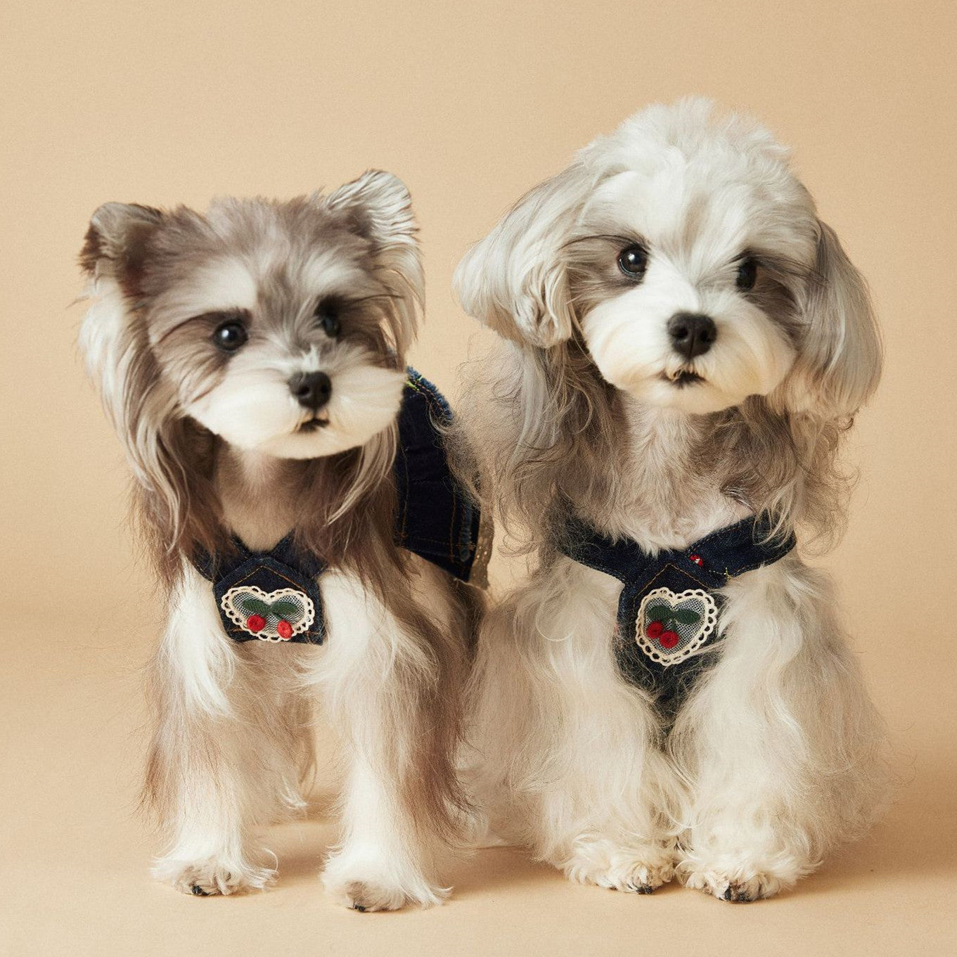 HKM-4411965 Cherry Denim Dress for Dogs - Casual Navy Blue Pet Clothing in Multiple Sizes (XS-XXL)