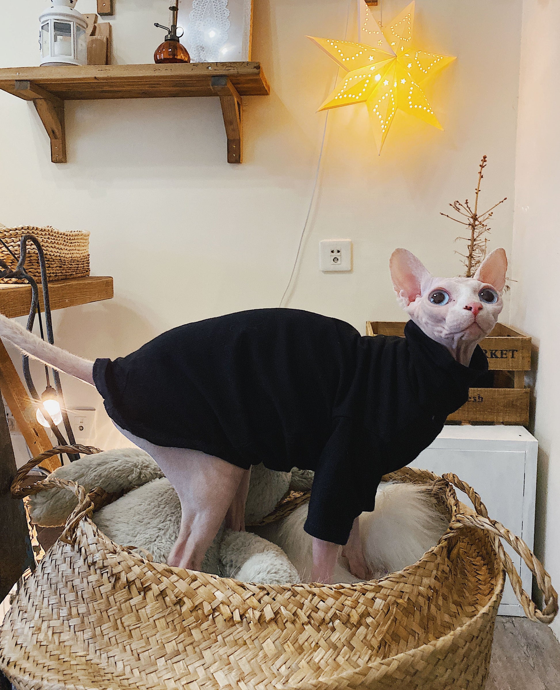 HKM-4419517 Casual Cotton Hypoallergenic T-Shirt for Hairless Cats in Black and White