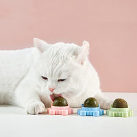 HKM-4420413 Catnip Wall Ball Cat Toy for Chewing and Teeth Cleaning - Removable Edible Cat Treats for Indoor Fun