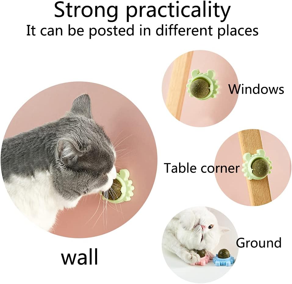 HKM-4420413 Catnip Wall Ball Cat Toy for Chewing and Teeth Cleaning - Removable Edible Cat Treats for Indoor Fun