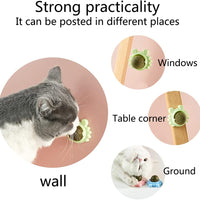 HKM-4420413 Catnip Wall Ball Cat Toy for Chewing and Teeth Cleaning - Removable Edible Cat Treats for Indoor Fun