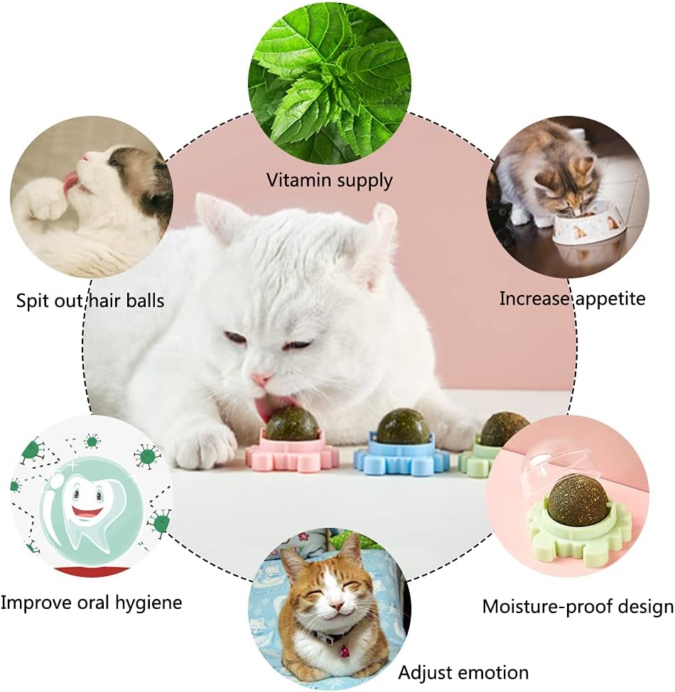 HKM-4420413 Catnip Wall Ball Cat Toy for Chewing and Teeth Cleaning - Removable Edible Cat Treats for Indoor Fun