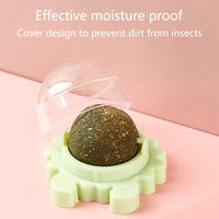 HKM-4420413 Catnip Wall Ball Cat Toy for Chewing and Teeth Cleaning - Removable Edible Cat Treats for Indoor Fun