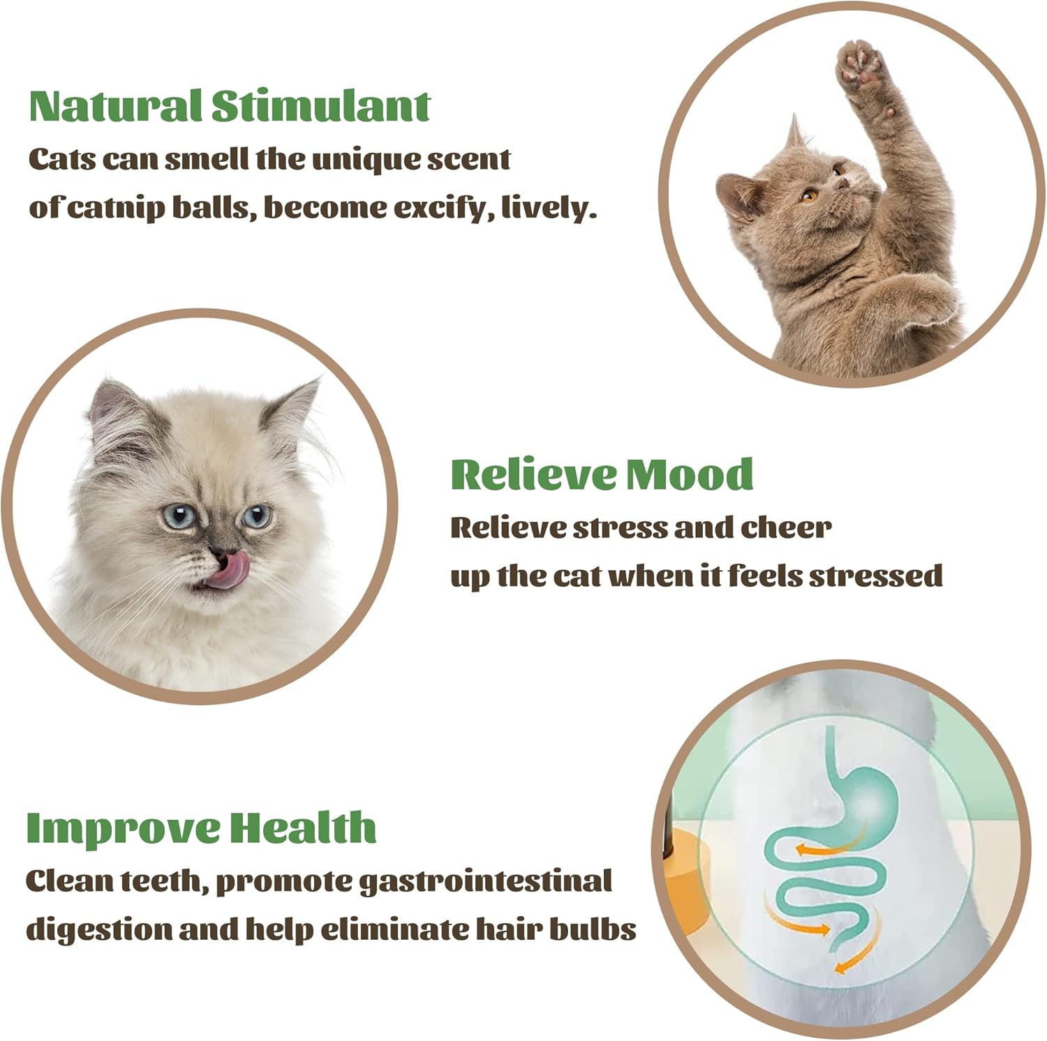HKM-4420413 Catnip Wall Ball Cat Toy for Chewing and Teeth Cleaning - Removable Edible Cat Treats for Indoor Fun