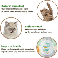HKM-4420413 Catnip Wall Ball Cat Toy for Chewing and Teeth Cleaning - Removable Edible Cat Treats for Indoor Fun