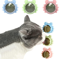 HKM-4420413 Catnip Wall Ball Cat Toy for Chewing and Teeth Cleaning - Removable Edible Cat Treats for Indoor Fun