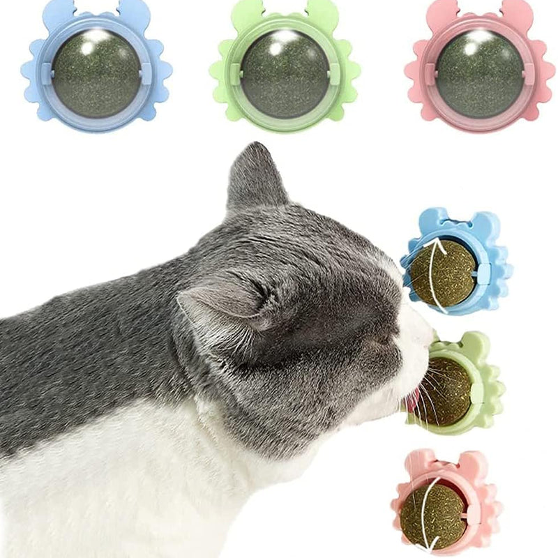 HKM-4420413 Catnip Wall Ball Cat Toy for Chewing and Teeth Cleaning - Removable Edible Cat Treats for Indoor Fun