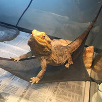 HKM-4420541 Reptile Hammock for Lizards and Snakes - Versatile Sucker Design, Set of 2