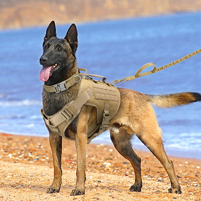HKM-4422717 Tactics K9 Nylon Chest Harness Vest for Dogs - Wolf Brown & Night Black, Adjustable Sizes S, M, L