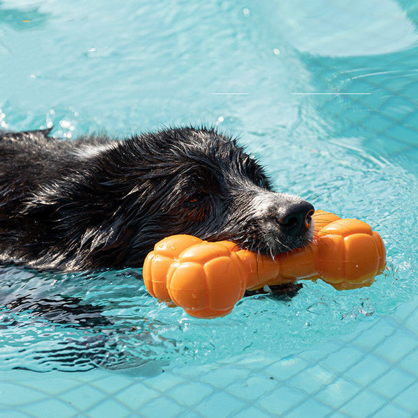 HKM-4423741 Floating Water-Resistant Sound Toy for Pets - Bite-Resistant Blow Molding Vocal Bones in Various Colors