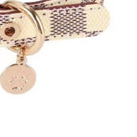 HKM-4426685 Floral Pattern PU Leather Pet Collar with Matching Leash - Milky White, Brown, Dark Gray Plads