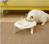 HKM-442771 Spine Protection Oblique Mouth Cat Bowl with Environmentally Friendly Base and Porcelain Food Bowl