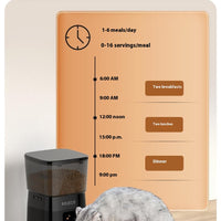 HKM-4429501 Automatic Pet Feeder with 2L Capacity and Stainless Steel Bowl