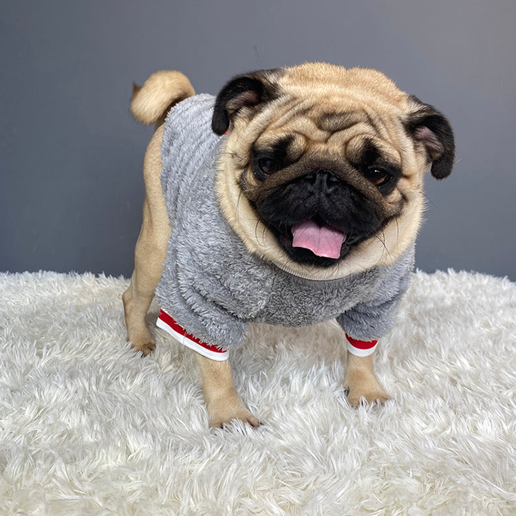 HKM-4429757 Casual Cotton Pet Sweater in Blue for Dogs - Various Sizes Available