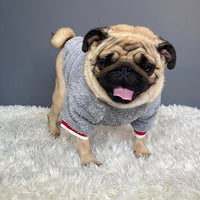 HKM-4429757 Casual Cotton Pet Sweater in Blue for Dogs - Various Sizes Available