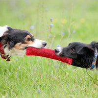 HKM-4433085 Durable Interactive Dog Tug Chew Stick for Teeth Cleaning - Great for Medium Breeds