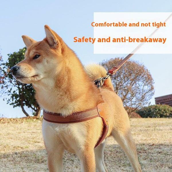 HKM-4433725 Small Dog Chest and Back Leash with Engraved Plaque - Durable Cloth Pet Harness