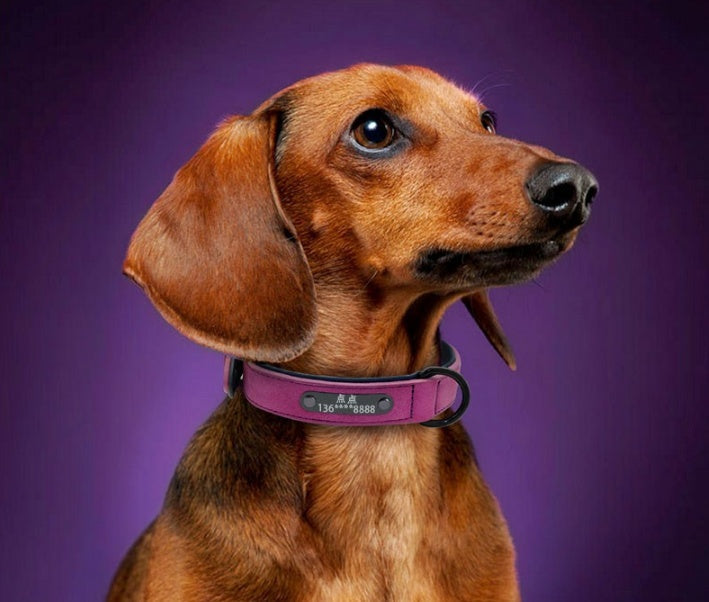 HKM-4436285 Custom Microfiber Leather Dog Tag Identity Card with Adjustable Collar and Double D Buckle
