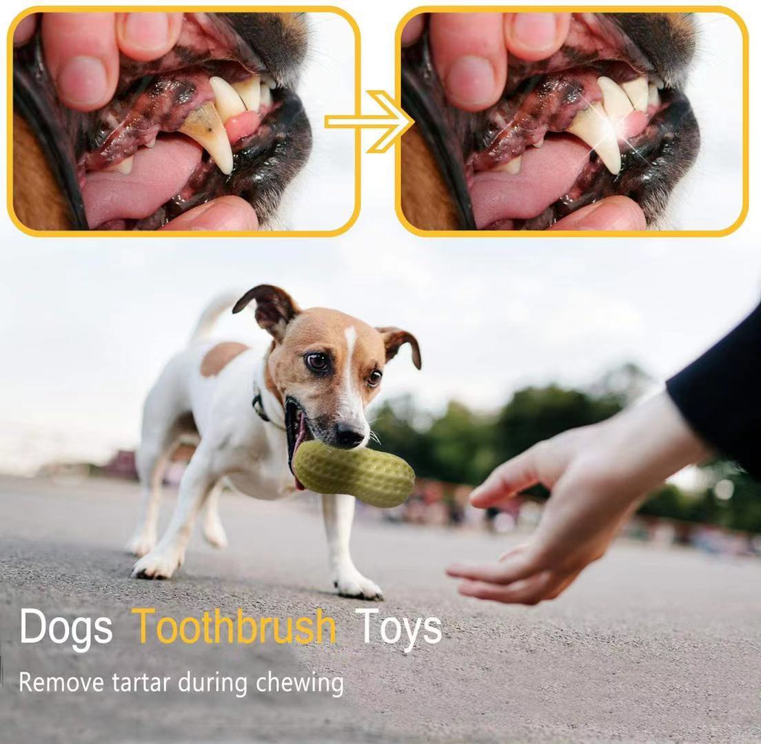 HKM-4437693 Durable Peanut Squeaky Chew Toy for Small to Medium Dogs and Puppies - Eco-Friendly Rubber with Tooth Cleaning Features