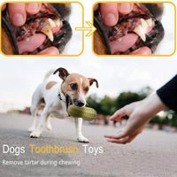 HKM-4437693 Durable Peanut Squeaky Chew Toy for Small to Medium Dogs and Puppies - Eco-Friendly Rubber with Tooth Cleaning Features