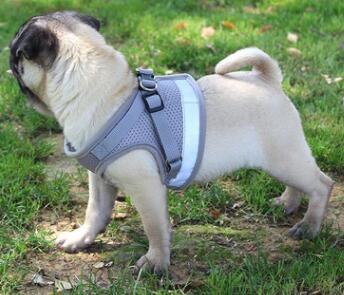 HKM-4439485 Reflective Mesh Dog Harness and Leash Set in Multiple Colors - Comfortable and Breathable Design, Sizes S to XL