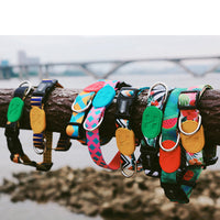 HKM-4442173 Adjustable Dog Collar Available in Small, Medium, and Large Sizes